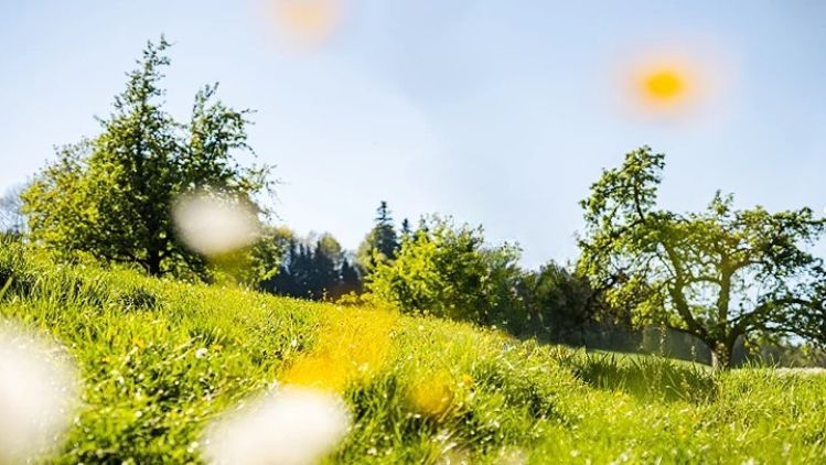 Darey Brands Sustainability