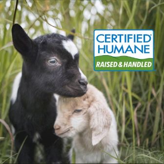 Darey Brands Sustainability Animal Welfare